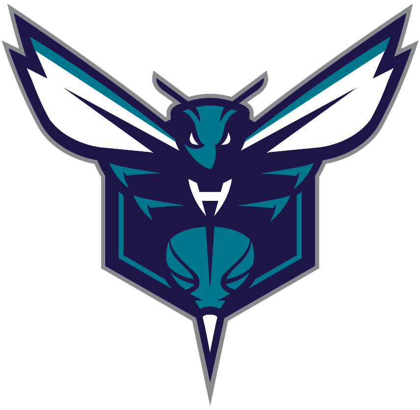 Charlotte Hornets 2014 15- Pres Alternate Logo 03 iron on paper